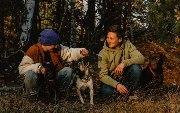 Hund beim Einzeltraining in Berlin mit Kompasshunde