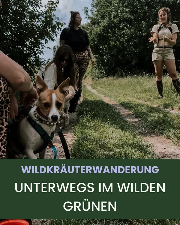 Wildkräuterwanderung mit Hund in Berlin – Natur erleben mit Kompasshunde