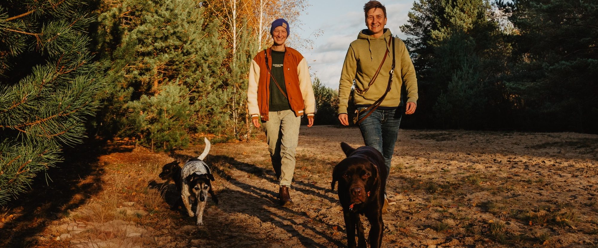 Dogwalking in Berlin – Gruppe von Hunden beim Spaziergang im Wald