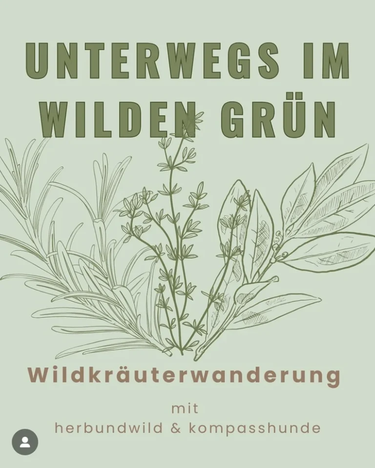 Wildkräuterwanderung mit Hund in Berlin – Natur erleben mit Kompasshunde